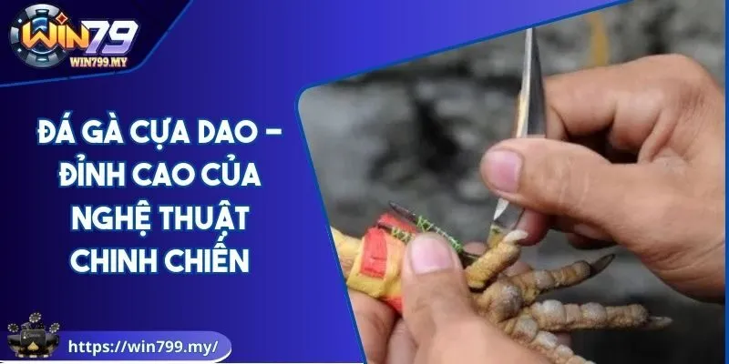 AVT