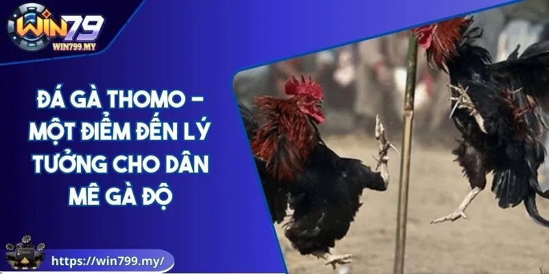 AVT